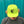 Load image into Gallery viewer, HAZY BEAR CAP
